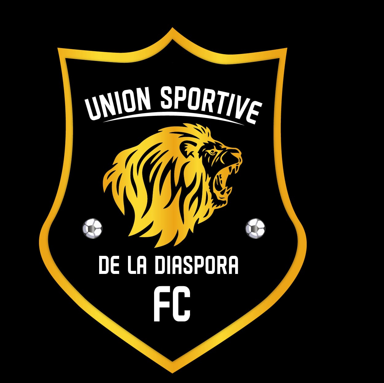 USDI FC